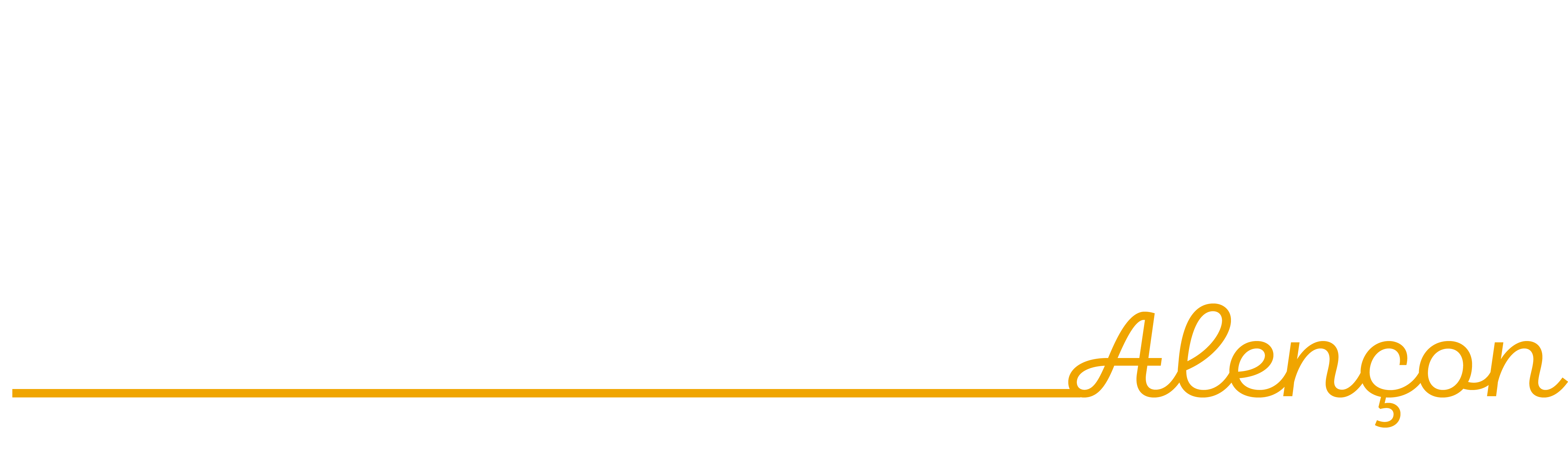 Nettoyage canapé, fauteuils, matelas, et tapis à domicile Alençon